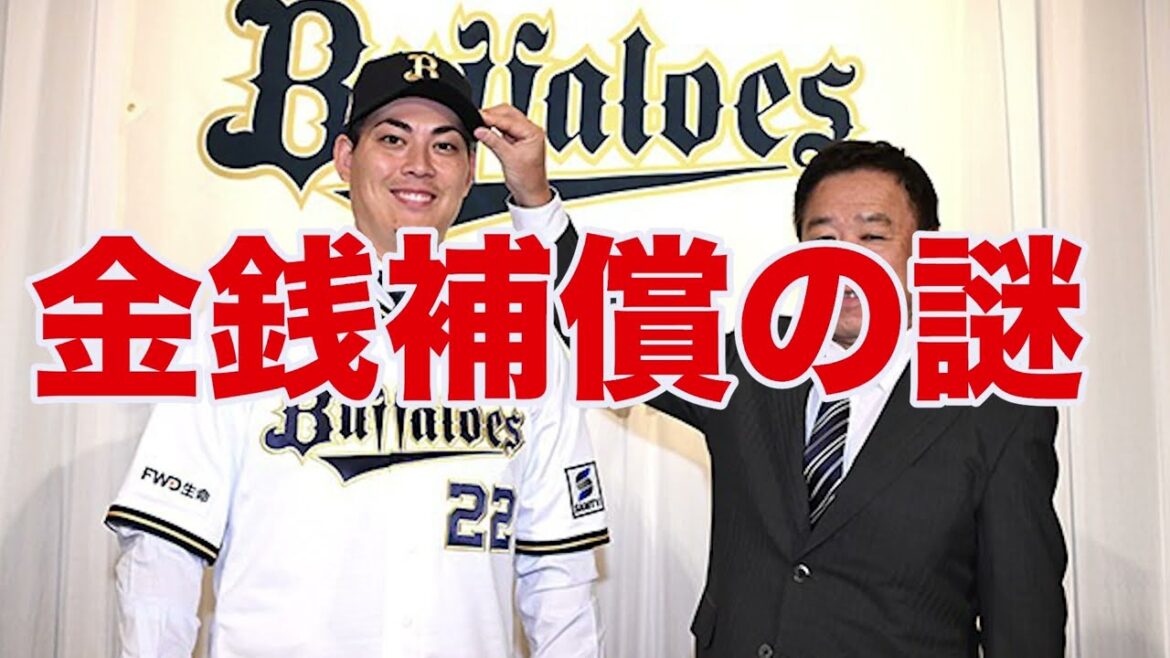 【九里亜蓮 人的】広島カープの金銭補償の選択が謎すぎる