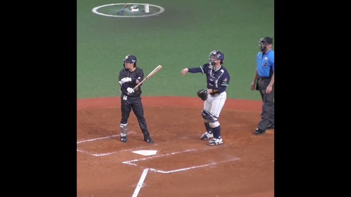 西野 真弘　流し打ち飛んできた　#オリックスバファローズ #shorts