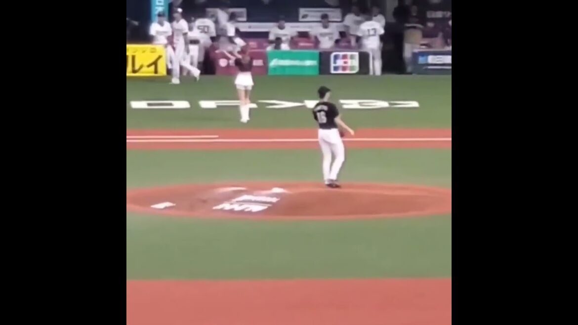 20231021　種市篤暉の投球練習　#shorts　千葉ロッテマリーンズ　先発投手　投球ﾌｫｰﾑ@京ｾﾗﾄﾞｰﾑ大阪･ﾚﾌﾄ外野下段［CSﾌｧｲﾅﾙｽﾃｰｼﾞ第4戦］