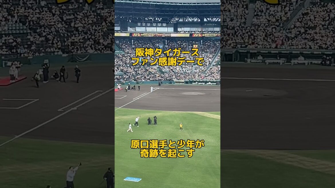 原口と少年が奇跡をおこす #阪神タイガース #原口文仁 #shorts