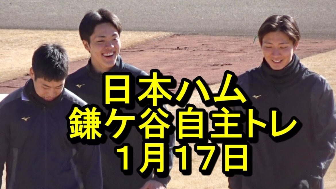 日本ハム鎌ケ谷自主トレ2025.1.17