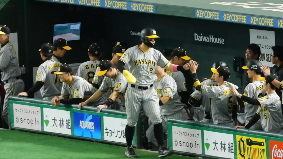 【新猛虎打線】サトテルと大山が連続ツーベース！小幡のタイムリーなどで早くも2点を先制！ 2024.7.17