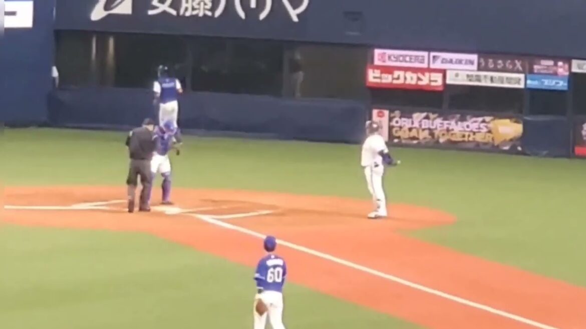 20240306　福永奨 登場曲【｢唱｣／Ado】　7回ｳﾗ　ｵﾘｯｸｽ･ﾊﾞﾌｧﾛｰｽﾞ@京ｾﾗﾄﾞｰﾑ大阪･ﾚﾌﾄ外野下段 ｵｰﾌﾟﾝ戦