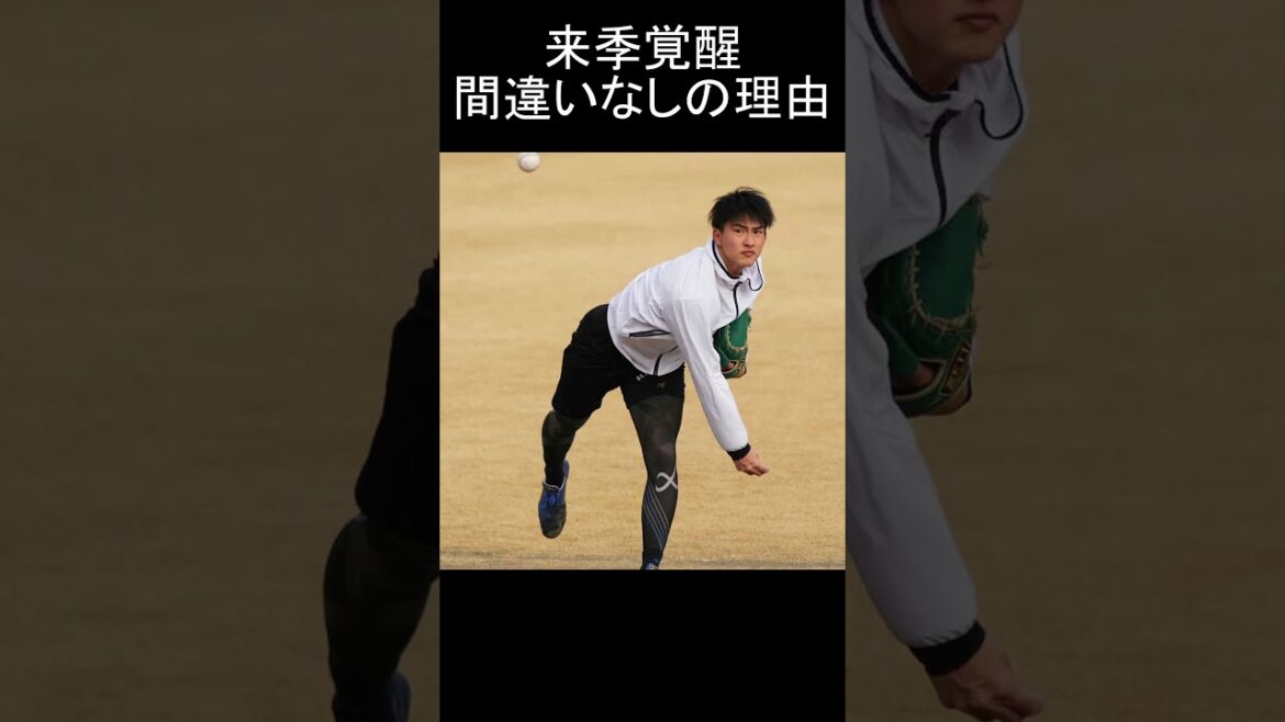 【日本ハム】達孝太　来季ブレイクの理由 #日本ハム #日ハム #ファイターズ  #北海道日本ハムファイターズ  #達孝太 #根本悠楓 #伊藤大海 #山崎福也 #福島蓮 #新庄剛志 #shorts