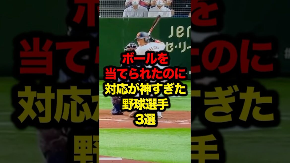 ボールを当てられたのに対応が神すぎた野球選手3選 #プロ野球 #野球解説 #野球雑学