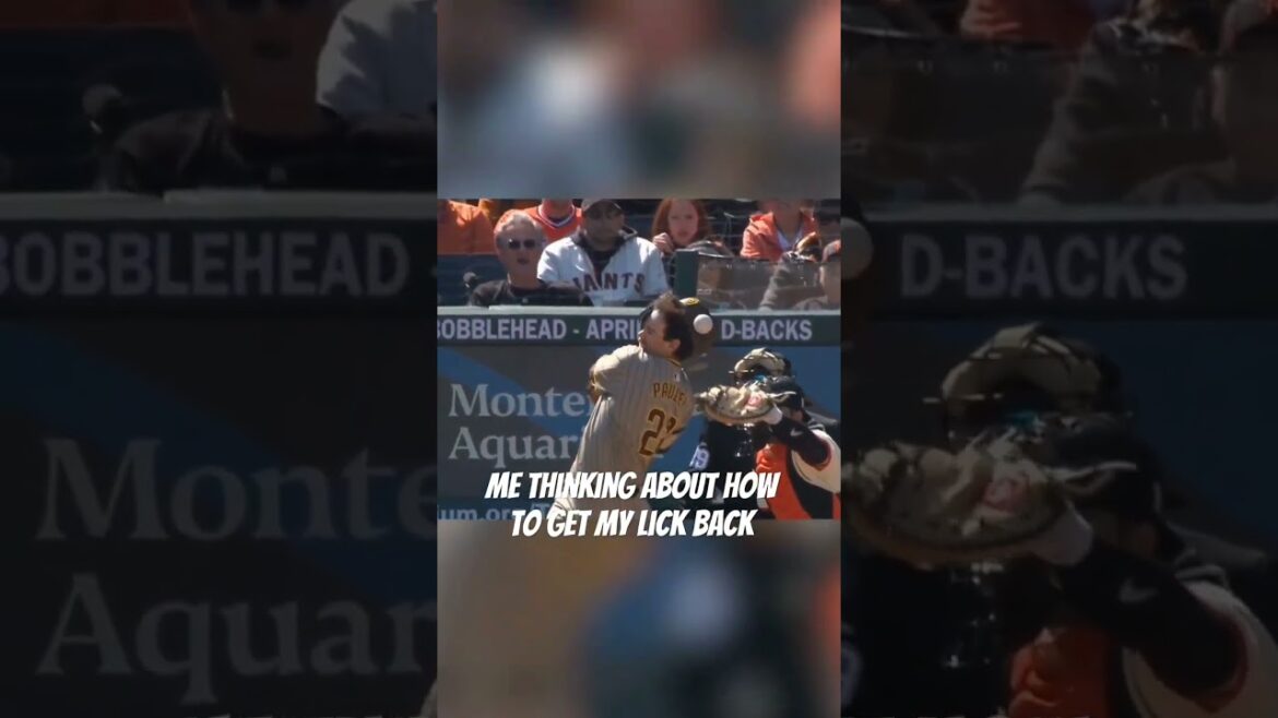 Painful Moment HIT BY PITCH! Painful Moment HIT BY PITCH!