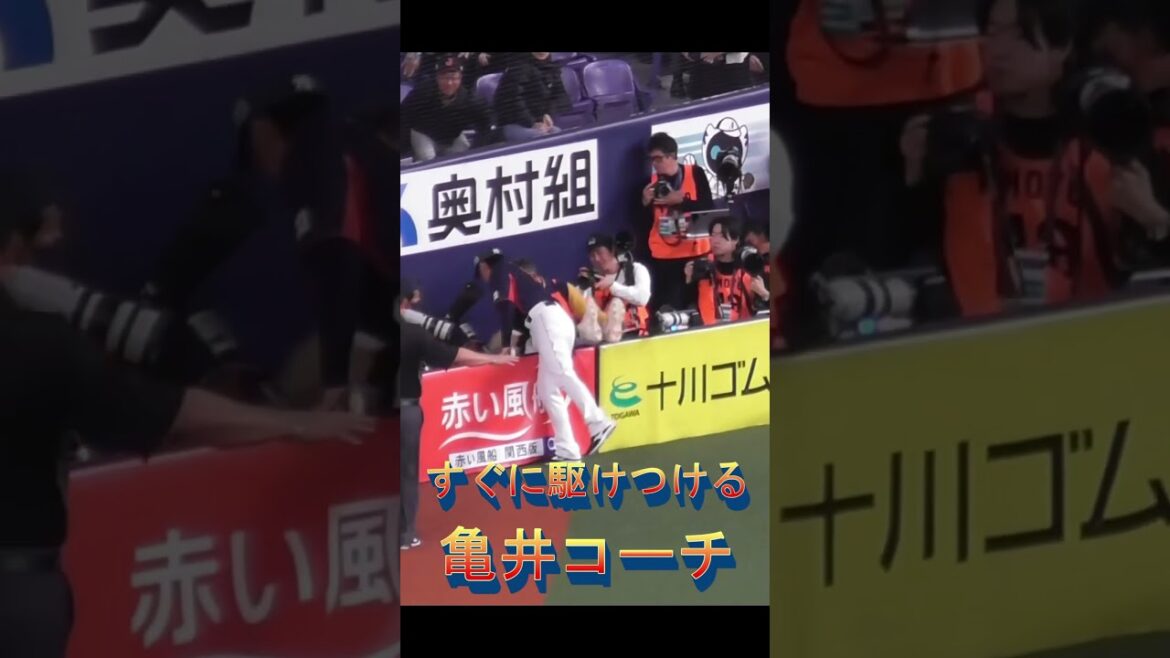 【男気】すぐに駆けつける亀井義行コーチ #亀井善行 #かっこいい #侍ジャパン