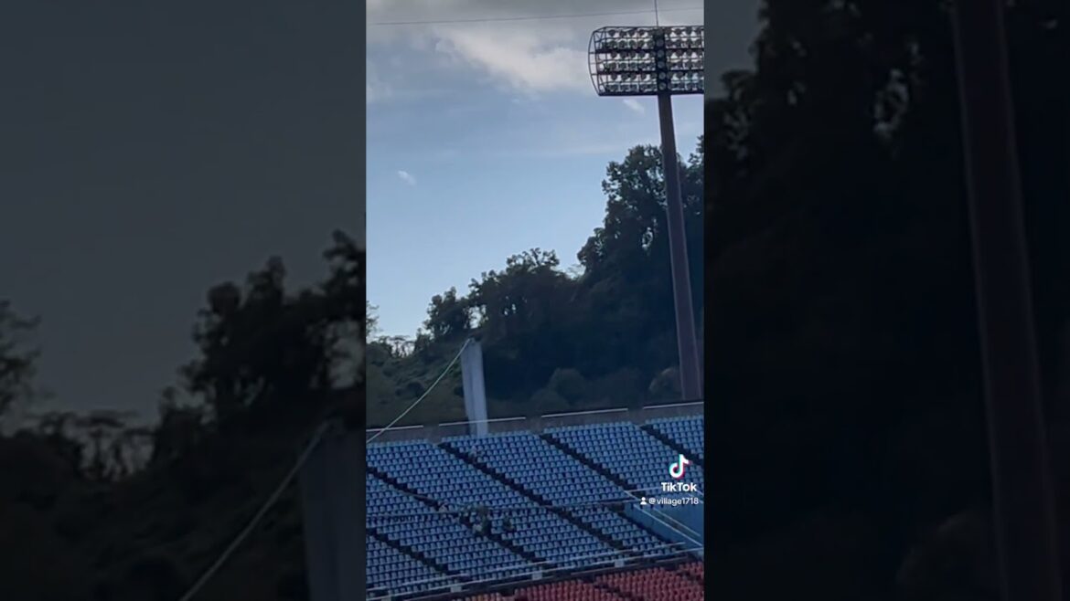 花巻東高校応援風景【メヒアのテーマ】（2024年10月19日）