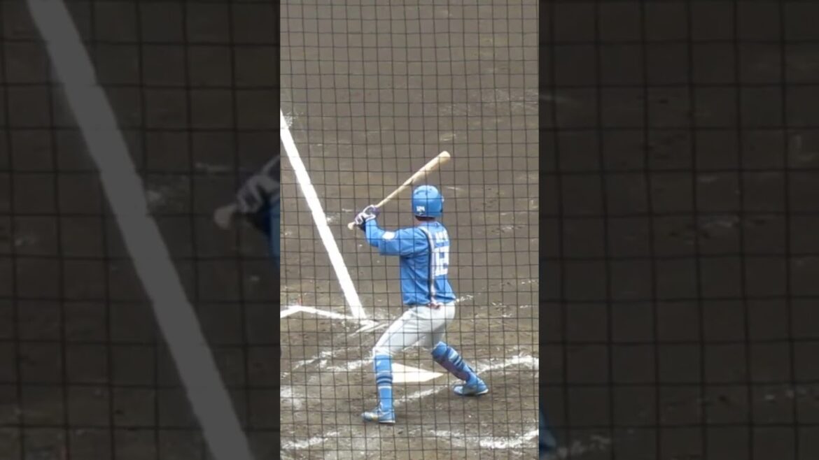 ファイターズ阿部和広バッティングフォーム＜読売ジャイアンツ 対 日本ハムファイターズ 2024年4月18日＞