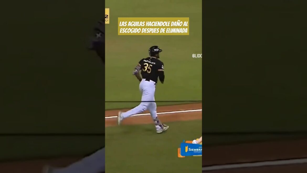 Las aguilas cibaeñas haciendo daños 😈 #aguilascibaenas #licey #lidom #mlb #baseball #roundrobin