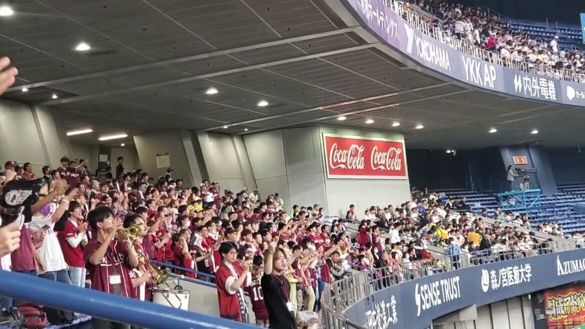 20240519　若鷲♪【石原彪 野手汎用応援歌1】汎用ﾃｰﾏ1(ﾌﾟﾛ入り4年目以上)　3回表　東北楽天ｺﾞｰﾙﾃﾞﾝｲｰｸﾞﾙｽ@京ｾﾗﾄﾞｰﾑ大阪･ﾚﾌﾄ外野下段