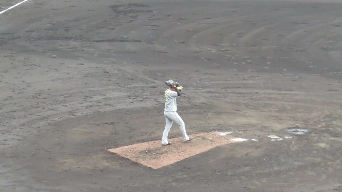 左右反転 浜地真澄が左投手だったら（巨人阪神オープン戦2024年2月23日）