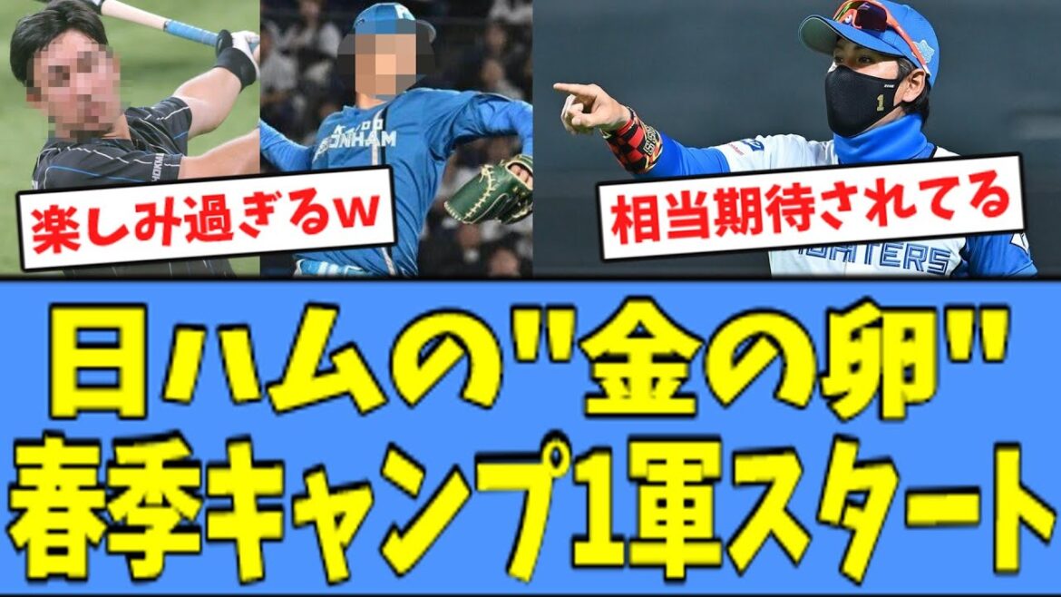 【ハムファン歓喜】日ハム春季キャンプ、"期待の若手達"が1軍スタートになるｗｗｗ