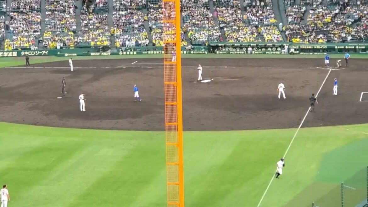 20240622　関根大気よ打て♪【チャンステーマ2】　8回表　横浜DeNAﾍﾞｲｽﾀｰｽﾞ@阪神甲子園球場･ﾚﾌﾄ外野