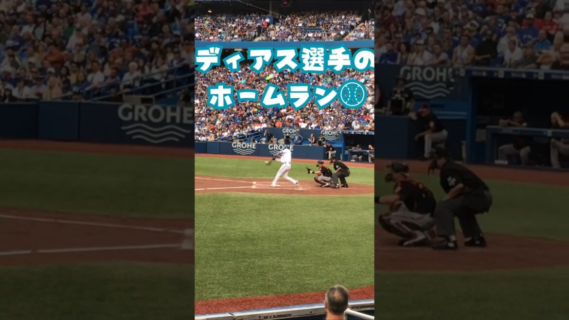 元ブルージェイズ ディアス選手のホームラン⚾ #shorts #野球 #bluejays #mlb #メジャーリーグ #ホームラン #バッティング#トロント留学 #baseball
