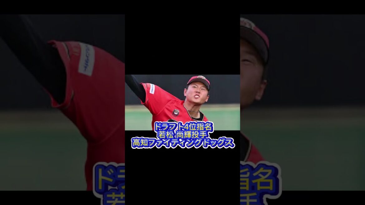 2024年横浜DeNAベイスターズドラフト指名選手一覧　＃shorts