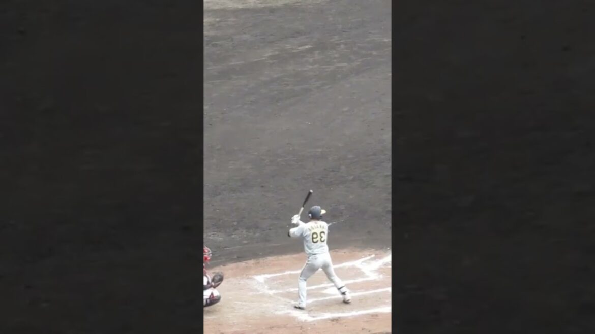 左右反転 榮枝裕貴が左打者だったら（巨人阪神オープン戦2024年2月23日）