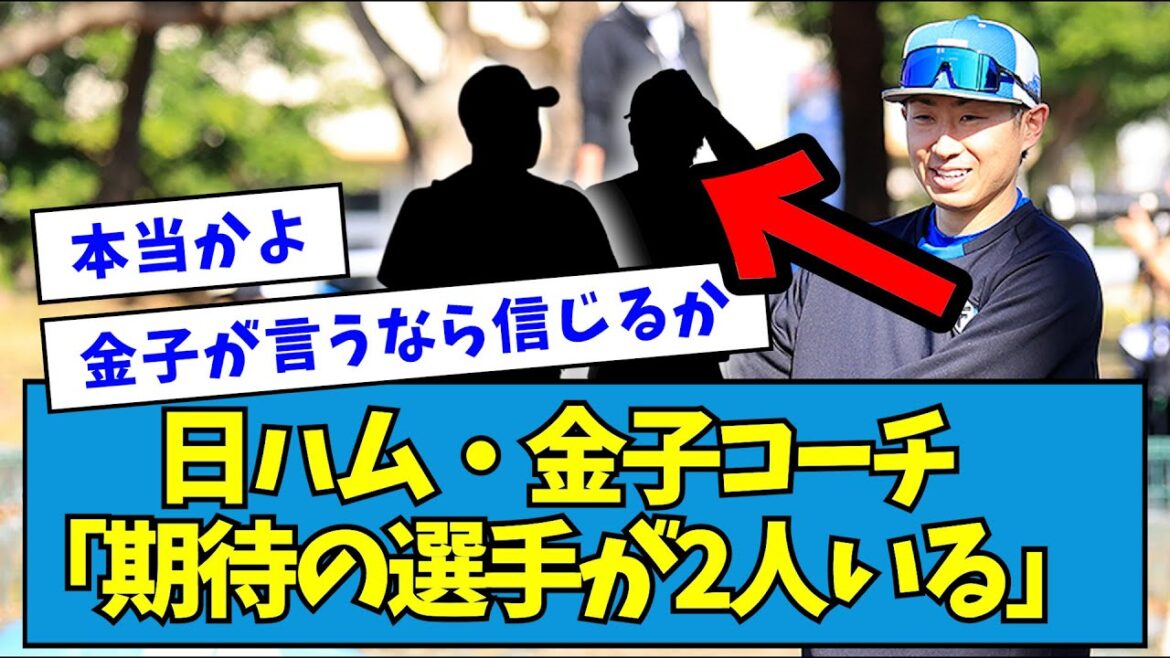 【朗報】日ハム・金子コーチ「期待の選手が2人いる」【なんJ反応】 【朗報】日ハム・金子コーチ「期待の選手が2人いる」【なんJ反応】