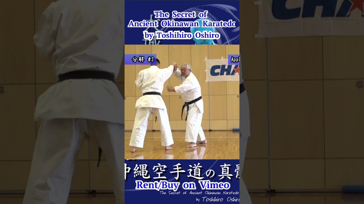 #Rohai #Applications2 The Secret of Ancient #Okinawan #Karatedo by Toshihiro Oshiro #short #ローハイ #分解