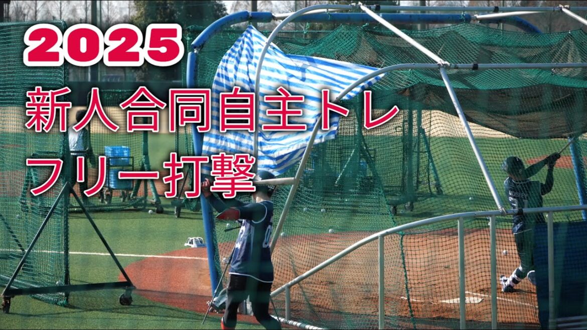 東京ヤクルトスワローズ 新人合同自主トレ フリーバッティング 2025.01.21 東京ヤクルトスワローズ 新人合同自主トレ フリーバッティング 2025.01.21