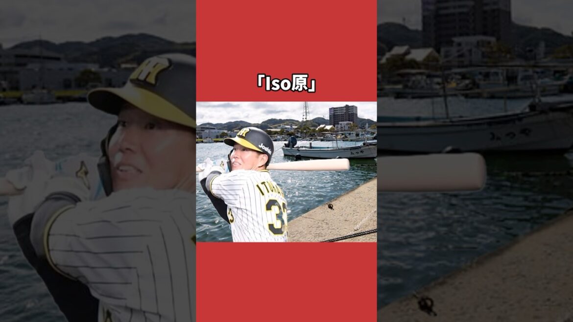 糸原健斗に関する雑学＃野球＃糸原健斗＃野球雑学