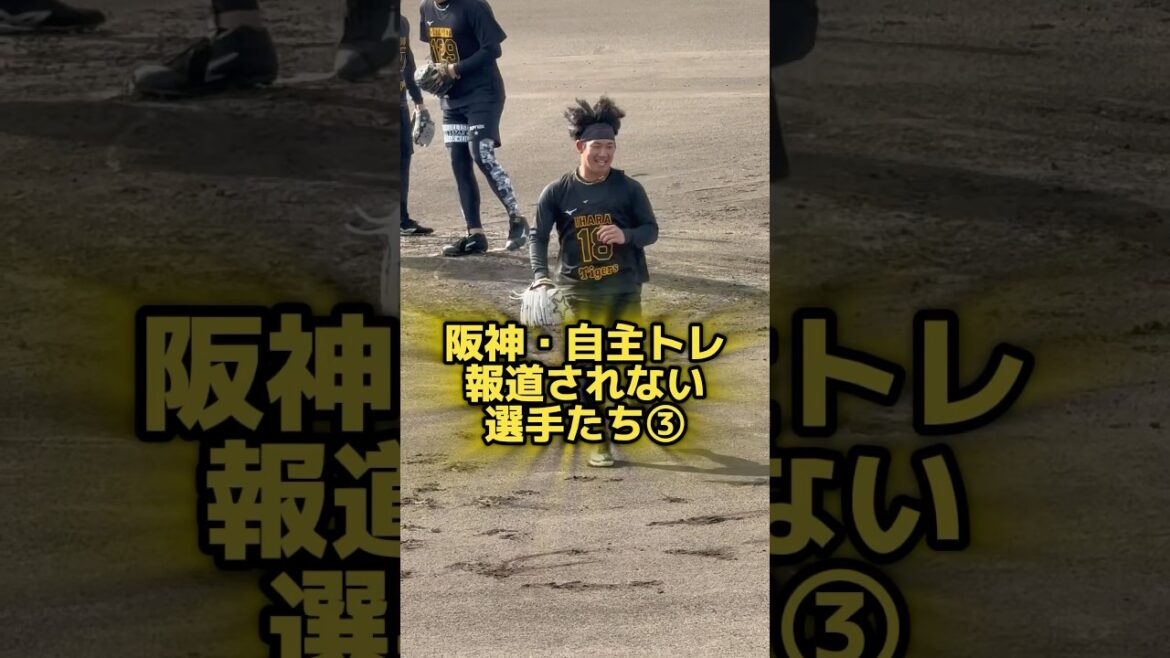 新人たちに混じって #自主トレ する選手たち25/1/17 #阪神タイガース #阪神 #プロ野球 #野球 #鳴尾浜 #伊原陵人 #豊田寛 #福島圭音 #高寺望夢 #髙寺望夢 #松原快 #鈴木勇斗