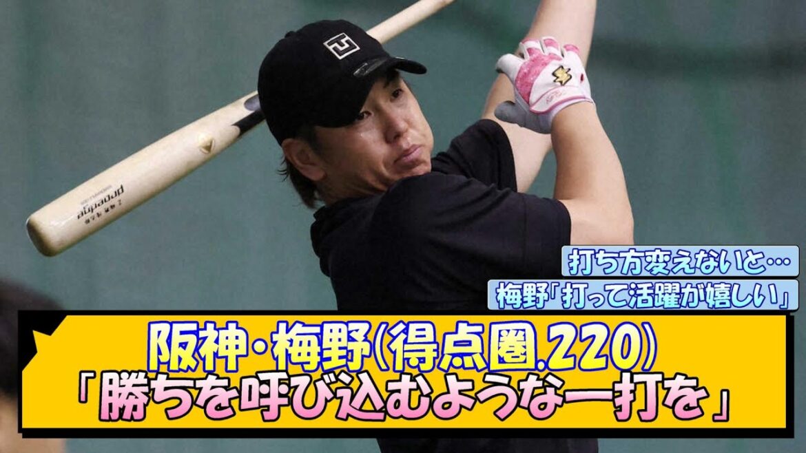 阪神・梅野(得点圏.220)「勝ちを呼び込むような一打を」【なんJ/2ch/5ch/ネット 反応 まとめ/阪神タイガース/藤川球児/梅野隆太郎】