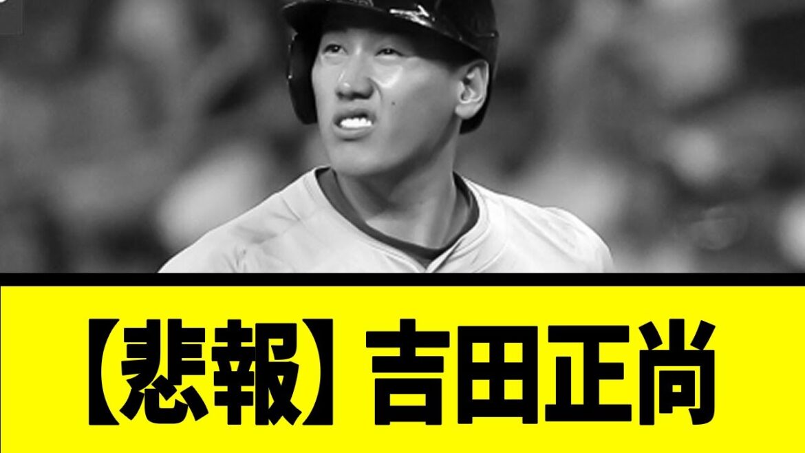 【悲報】吉田正尚【反応集】【野球反応集】【なんJ なんG野球反応】【2ch 5ch】
