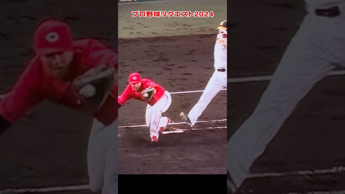 広島菊池選手の変態プレーアウト判定に阪神岡田監督がリクエスト。小園も良いプレー。