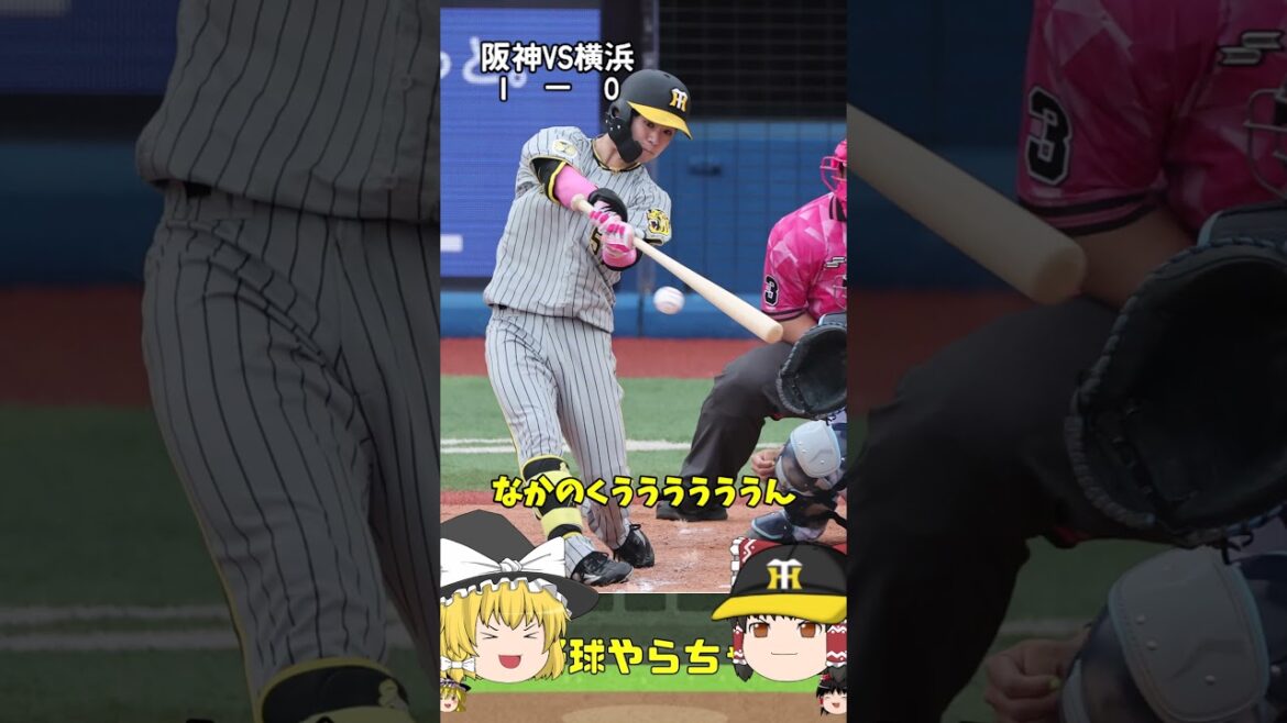 【30秒でわかる5月12日対DeNA戦の結果】そろそろ才木くんの銅像作れ#阪神タイガース #横浜denaベイスターズ