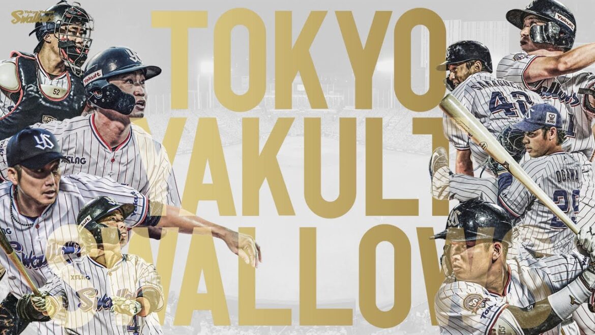 東京ヤクルトスワローズのチャンステーマ【夏祭り】 東京ヤクルトスワローズのチャンステーマ【夏祭り】