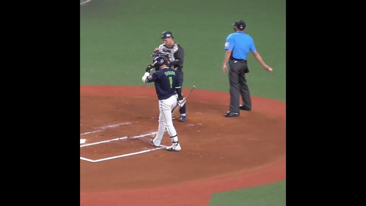 東 晃平 vs 山田 哲人　24,000千円 vs 500,000千円　#オリックスバファローズ #東京ヤクルトスワローズ #shorts
