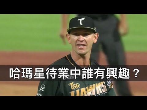 去年台鋼貢獻度最高的洋投卻被捨棄?哈瑪星待業中誰有興趣? 去年台鋼貢獻度最高的洋投卻被捨棄?哈瑪星待業中誰有興趣?