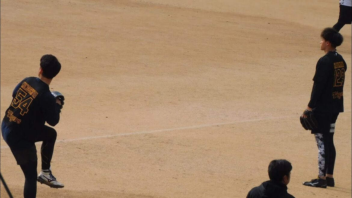 阪神 1/22新人合同自主トレ 木下里都 早川太貴 キャッチボール