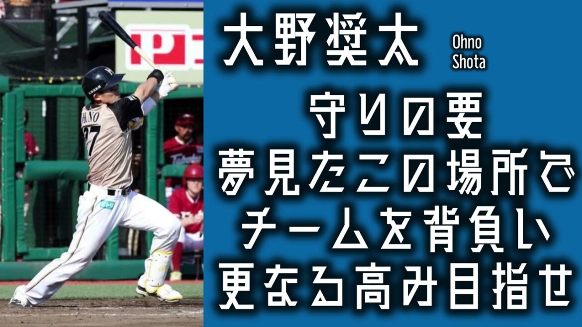 【作業用】大野奨太応援歌30分耐久【睡眠用】