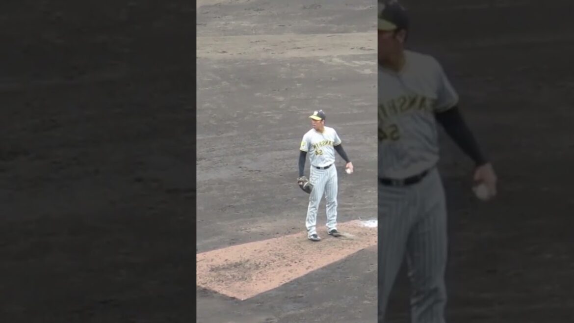 左右反転 加治屋蓮が左投手だったら（巨人阪神オープン戦2024年2月23日）