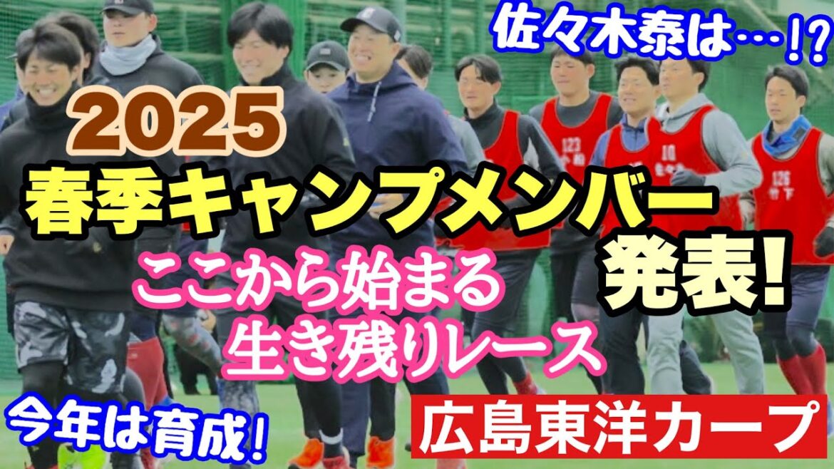 【広島東洋カープ】２０２５年春季キャンプメンバー発表！！！　サプライズはあるのか？　佐々木泰の左肩は？　今年も護摩行帰りの奨成は？　【新井貴浩】【佐々木泰】【内田湘大】【中村奨成】【カープ】