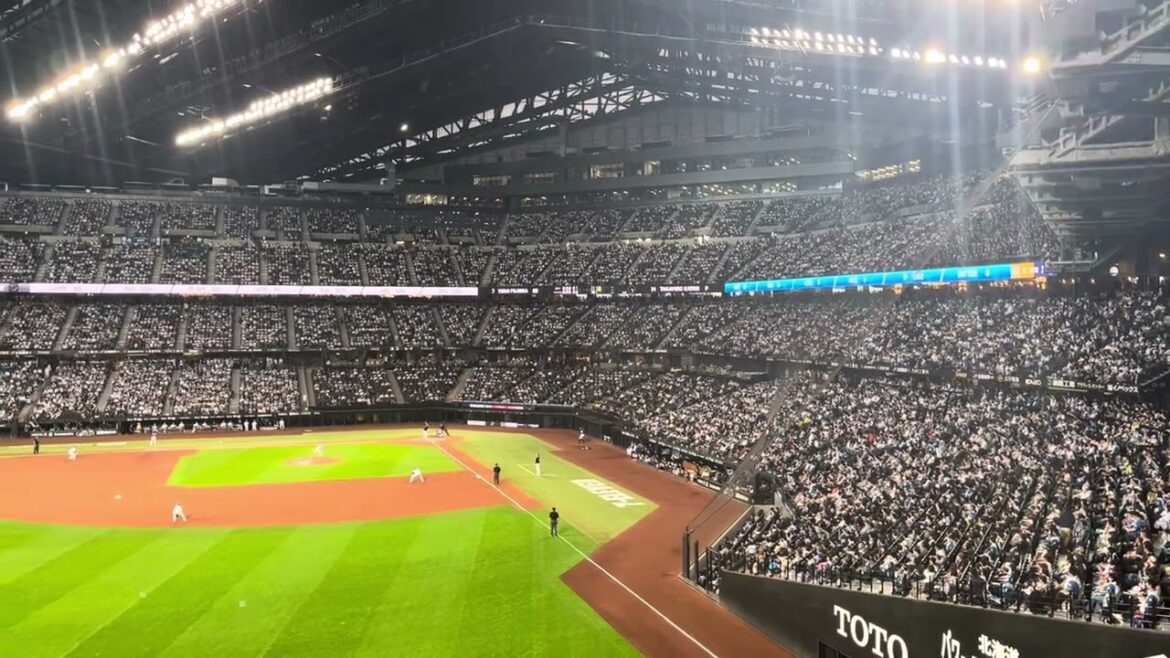 千葉ロッテマリーンズ 藤岡裕大 応援歌 千葉ロッテマリーンズ 藤岡裕大 応援歌