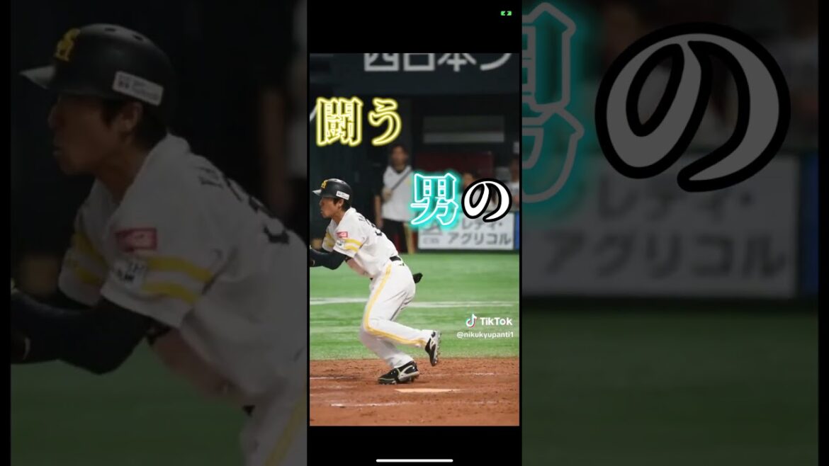 柳町達 応援歌 #プロ野球 #応援歌 #柳町達