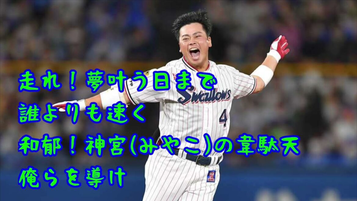 【ヤクルト】丸山和郁選手 応援歌