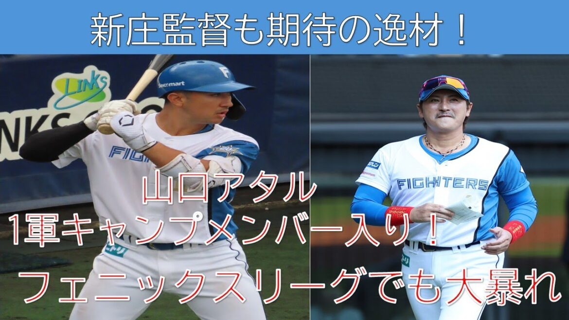 【日本ハム】新庄監督も期待！1軍キャンプメンバー選出の山口アタル選手とは！？フェニックスリーグでの成績がヤバすぎる