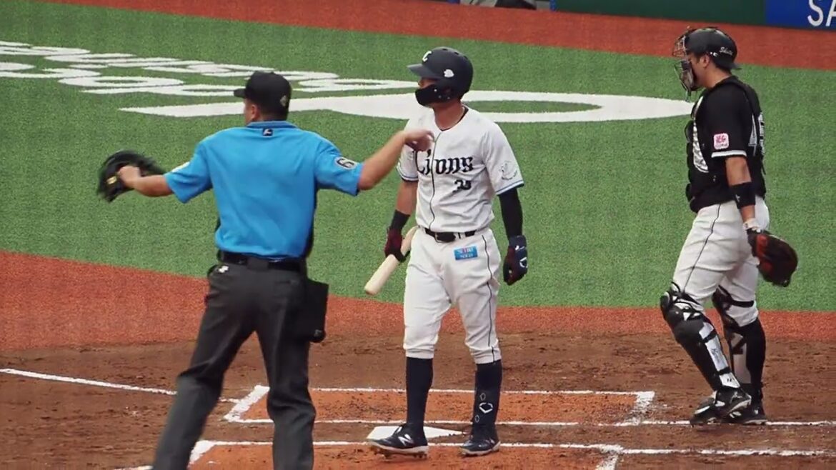 【犠飛】2024.06.22 埼玉西武-千葉ロッテ(ベルーナドーム) 若林楽人 打席シーン