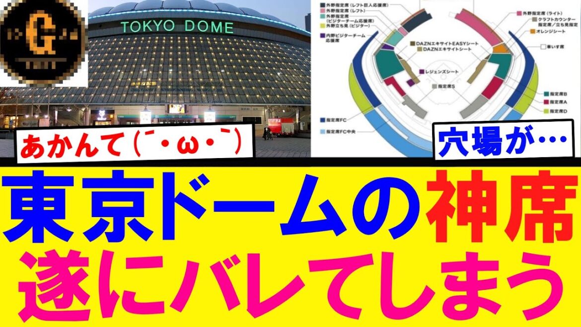 【マズい…】東京ドームの神席 遂にバレてしまうｗｗｗ