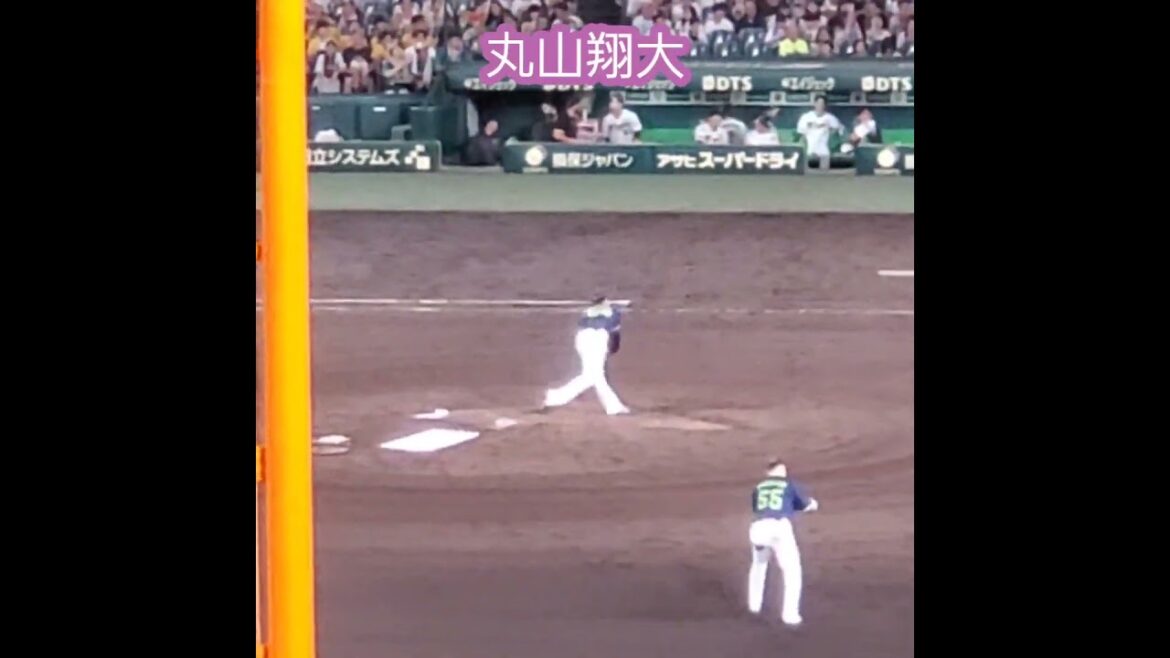 20240915　丸山翔大の投球練習　#shorts　東京ﾔｸﾙﾄｽﾜﾛｰｽﾞ　投球ﾌｫｰﾑ@阪神甲子園球場･ﾚﾌﾄ外野
