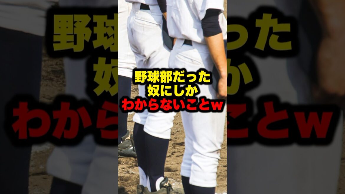 野球部だった奴にしかわからないことw #プロ野球 #野球解説 #野球雑学