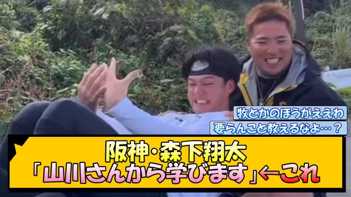 阪神・森下翔太「山川さんから学びます」←これ【なんJ/2ch/5ch/ネット 反応 まとめ/阪神タイガース/藤川球児】
