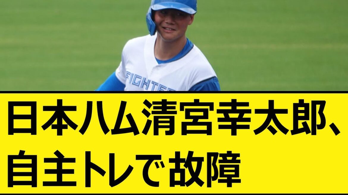 日本ハム清宮幸太郎、自主トレで故障【プロ野球、なんj、なんg反応】【野球、2ch、5chまとめ】【北海道日本ハムファイターズ、日ハム、ファイターズ、清宮】