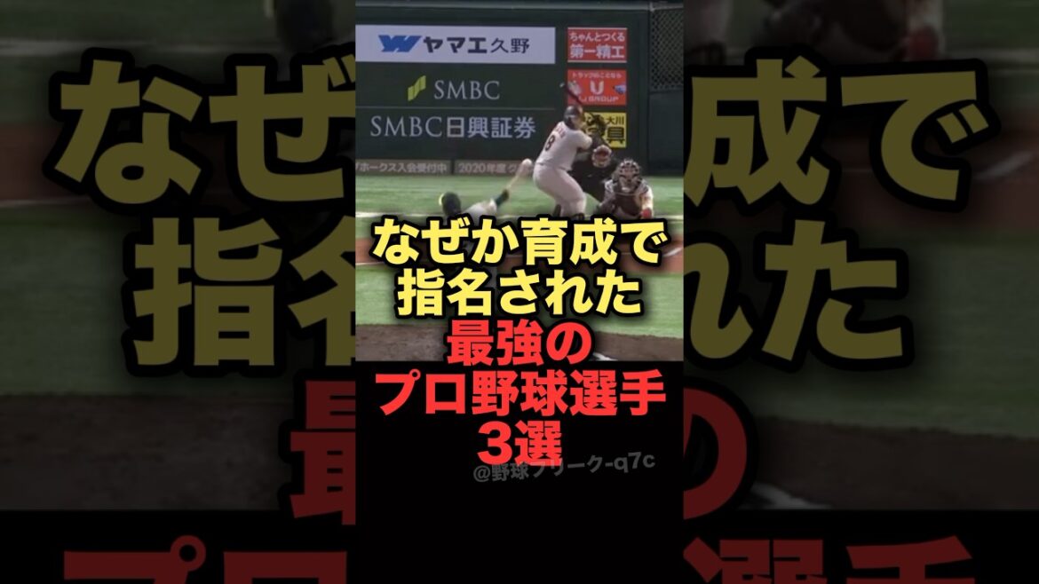 なぜか育成で指名された最強のプロ野球選手3選　#プロ野球 #ソフトバンクホークス #阪神タイガース
