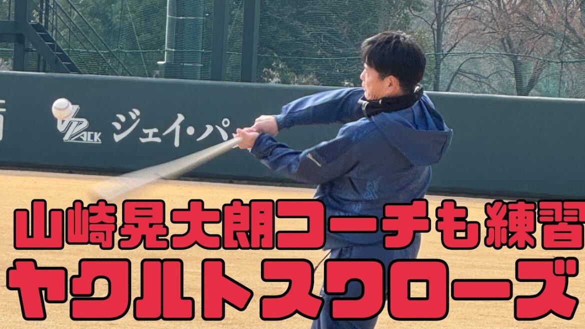 山崎晃大朗コーチも練習中！ヤクルトスワローズ