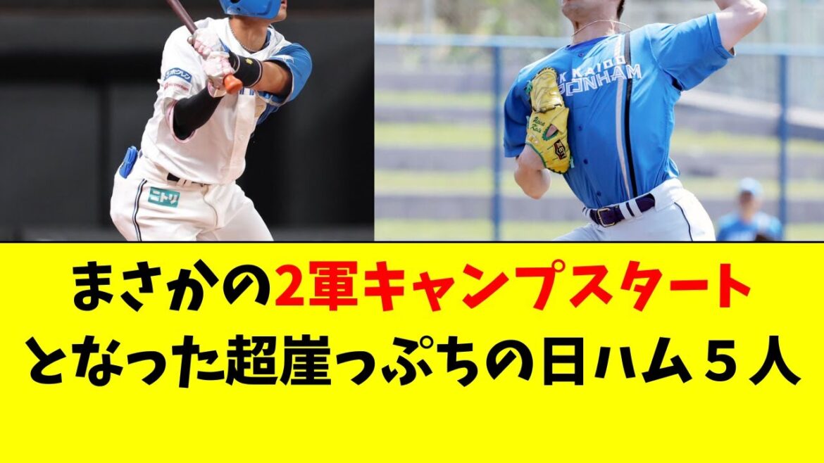 【日ハム】新庄監督が2軍キャンプに決定した、驚きの５人